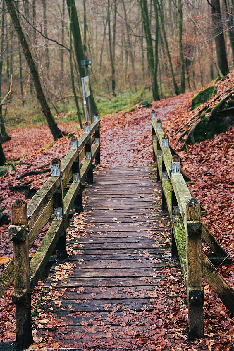 Photo by Merih Tasli on Unsplash